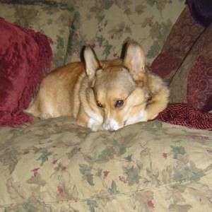 Meet your Posher, Gina